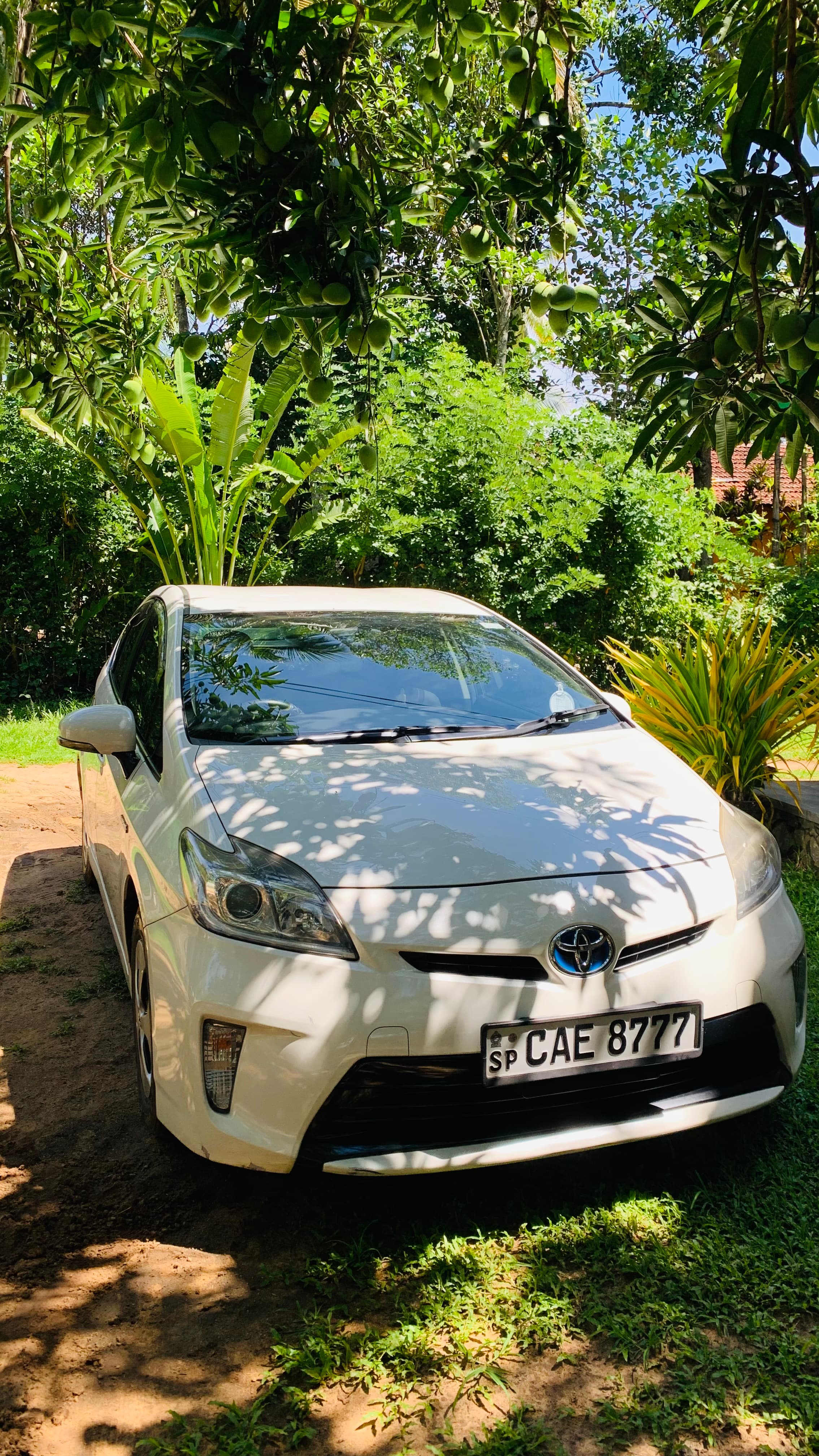 Sedan β Toyota Prius